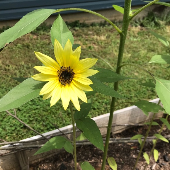 Meet your Posher, Colleen - Picture 1 of 1